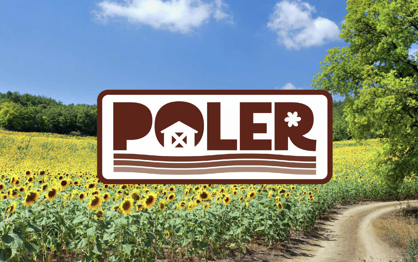 poler campagne